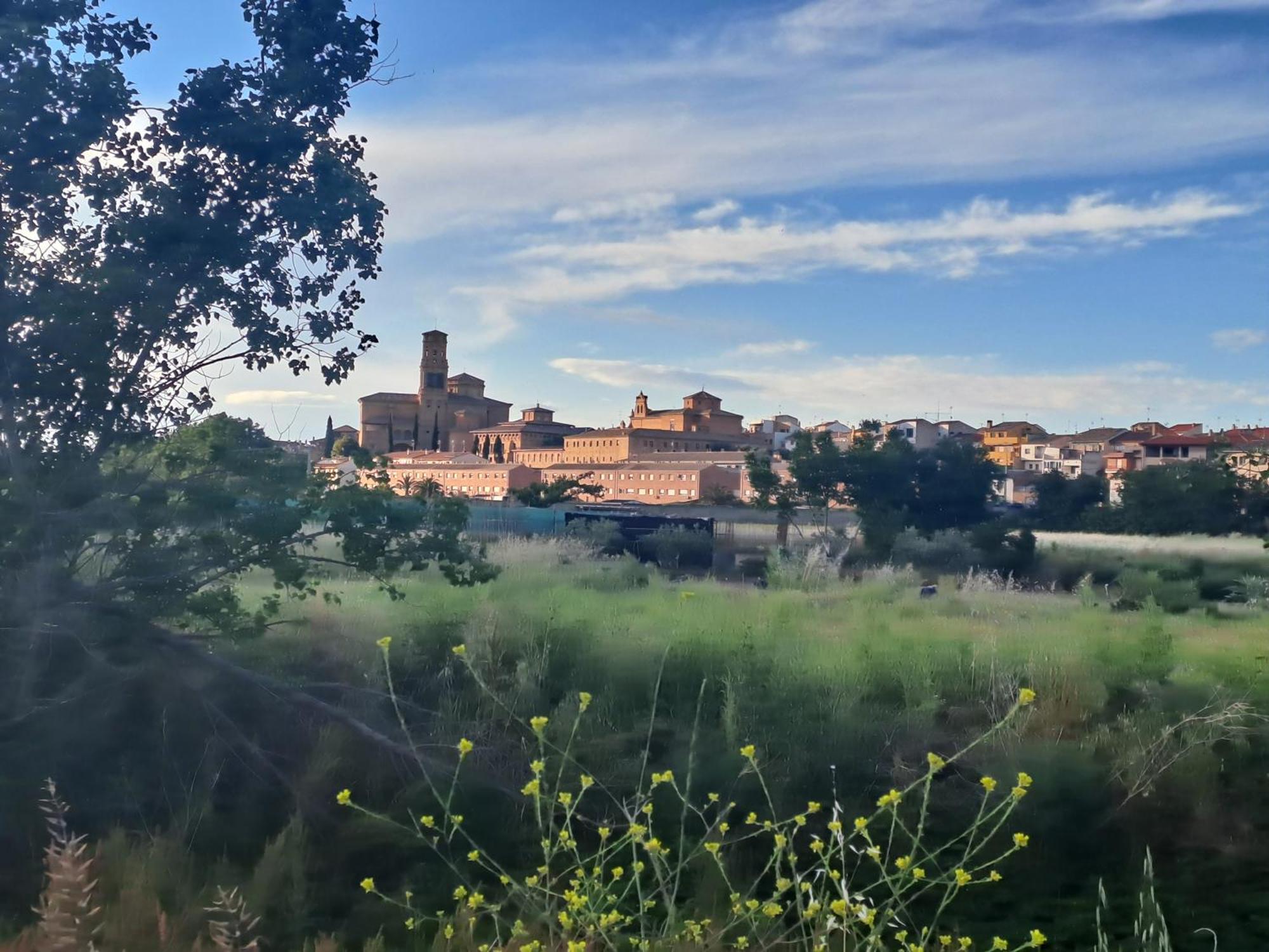 Apartamento rural Las Cañas Esencia de Bardenas Villafranca Exterior foto